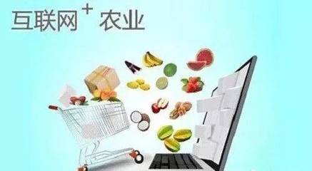 融合食品互聯(lián)網(wǎng) 休閑農(nóng)業(yè)的13種創(chuàng)意新模式探索